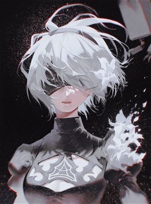 NieR Automata Ver1.1a