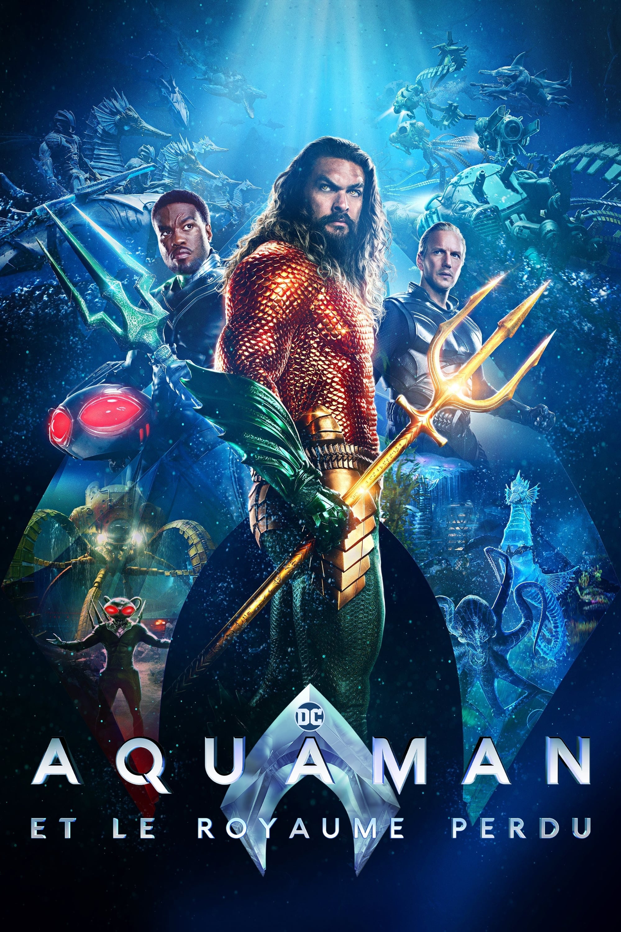 Aquaman.and.the.Lost.Kingdom.2023.MULTI.VFF.1080p.WEBRip.x265-SERQPH-poster.jpg