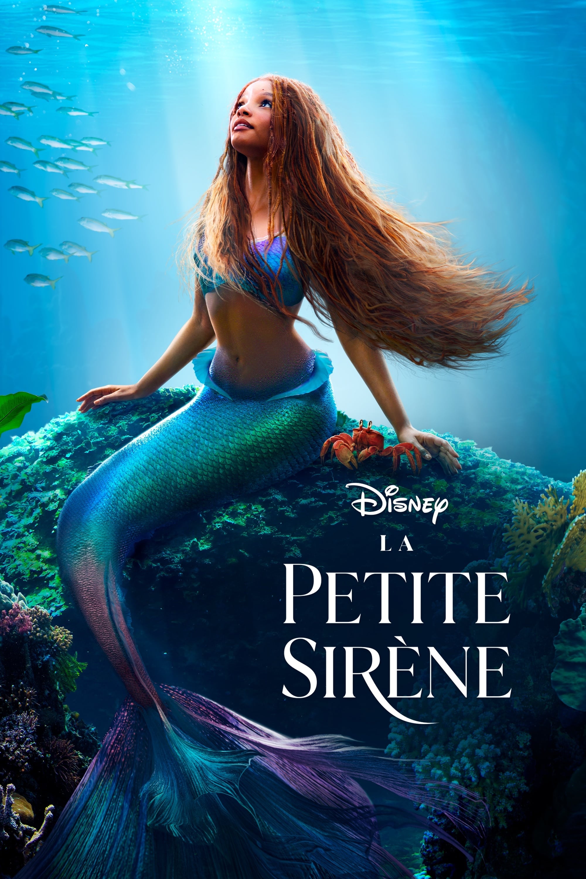 The.Little.Mermaid.MULTI.2023.1080p.10bit.WEBRip.6CH.x265.HEVC-ElcrackitoThe.Little.Mermaid.MULTI.2023.1080p.10bit.WEBRip.6CH.x265.HEVC-Elcrackito-poster.jpg